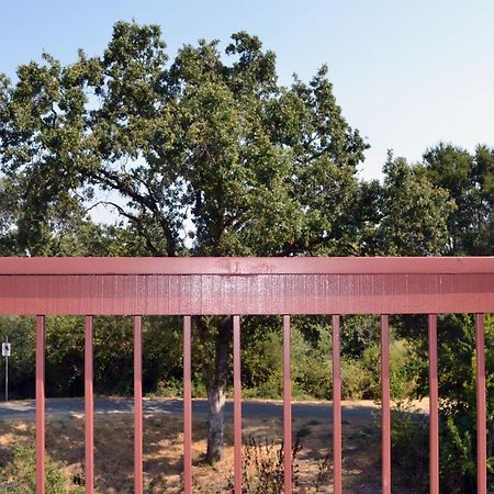 Sebastopol Inn Dış mekan fotoğraf